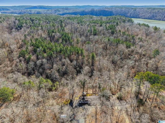 812 SMITH CAMP WAY, Adger, AL 35006