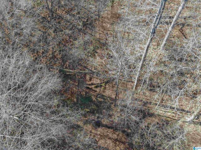 812 SMITH CAMP WAY, Adger, AL 35006