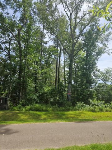 0 Burning Tree Ln, New Caney, TX 77357