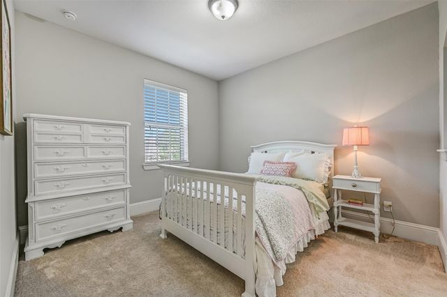 2424 Prairie Mist Lane, Friendswood, TX 77546