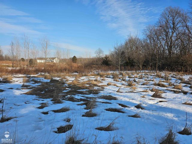 2431 S Morrice Road, Owosso Twp, MI 48867