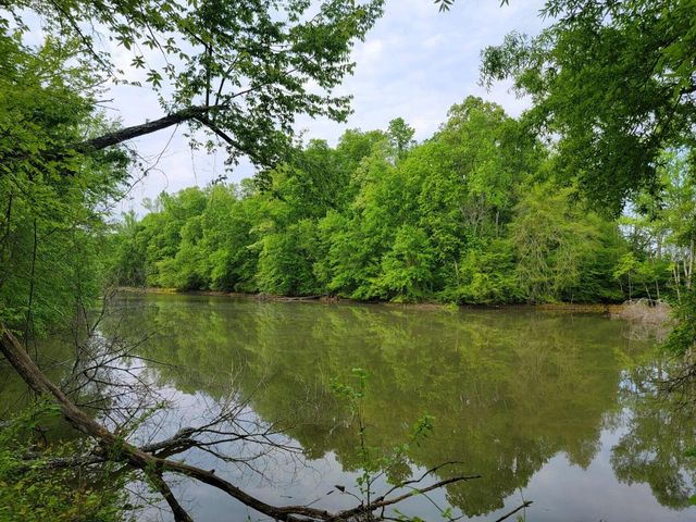 0 Scoggins Lane, Dayton, TN 37321