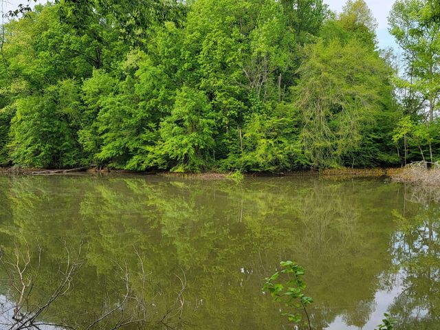 0 Scoggins Lane, Dayton, TN 37321