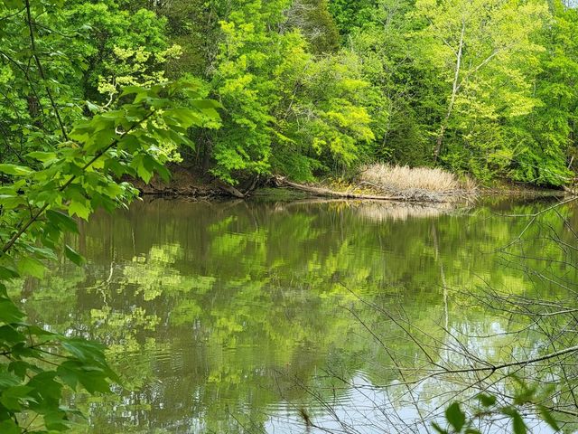 0 Scoggins Lane, Dayton, TN 37321