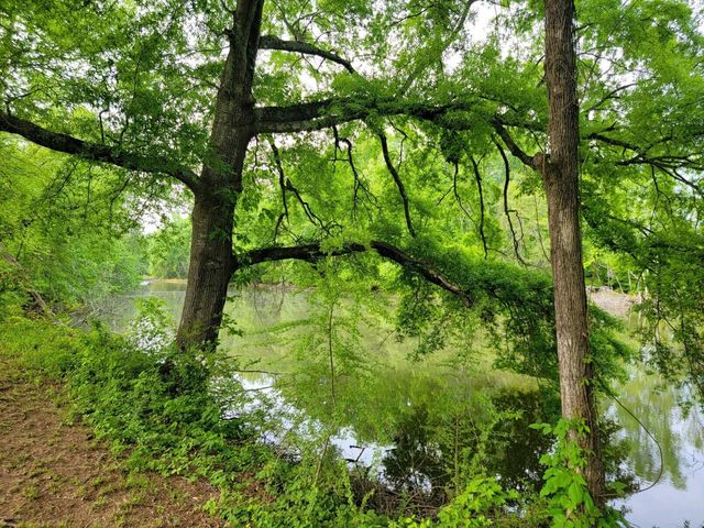 0 Scoggins Lane, Dayton, TN 37321