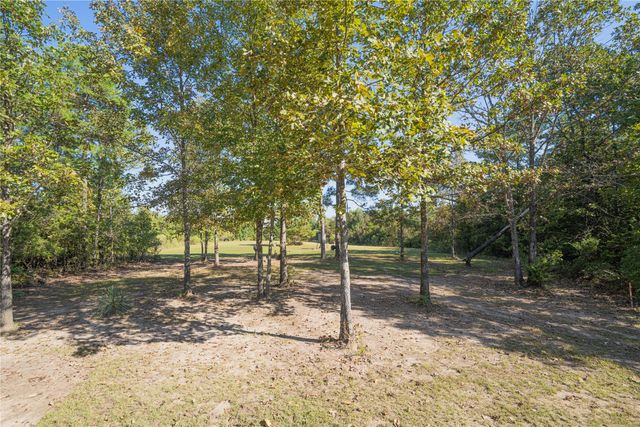 3299 CR 1579, Avinger, TX 75630