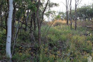 1421 S Beaver Bench Rd, Heber City, UT 84032