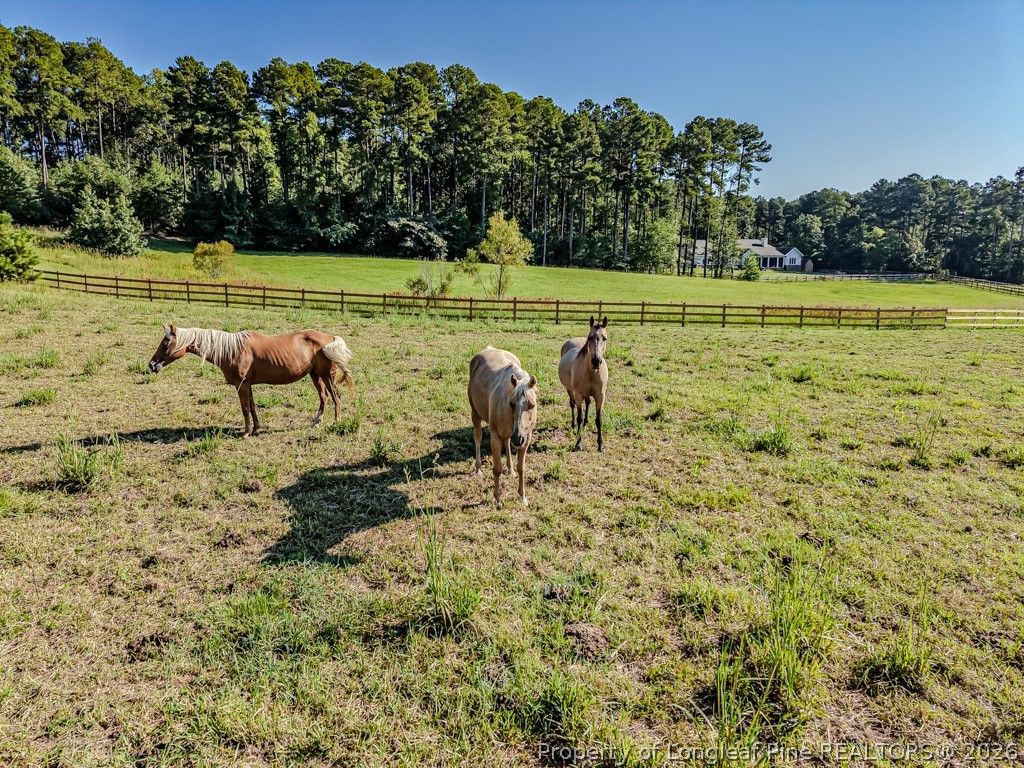 341 Bracken Hill Road, Cameron, NC 28326 — photo 2