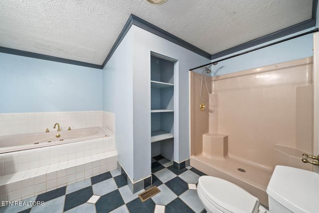 117 Bellview Rd, Pikeville, TN 37367