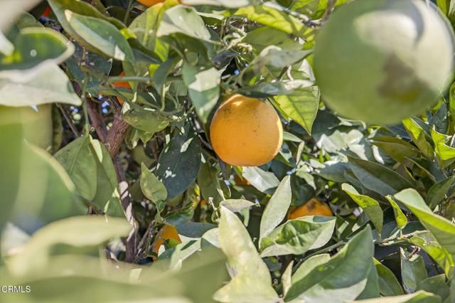 9466 Santa Maria Street, Ventura, CA 93004