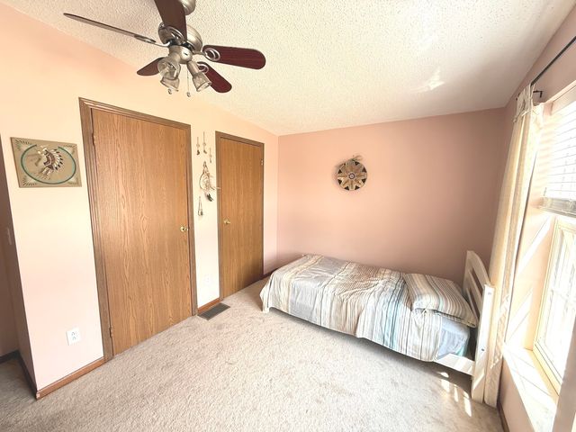 22737 S Ridge Lane, Frankfort, IL 60423