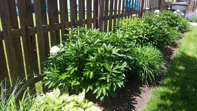 533 Glen Avenue, Romeoville, IL 60446