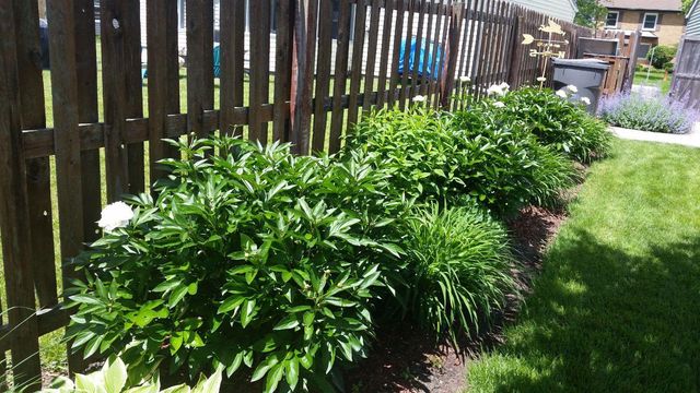 533 Glen Avenue, Romeoville, IL 60446