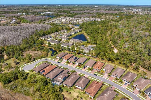 20173 UMBRIA HILL DRIVE, Tampa, FL 33647