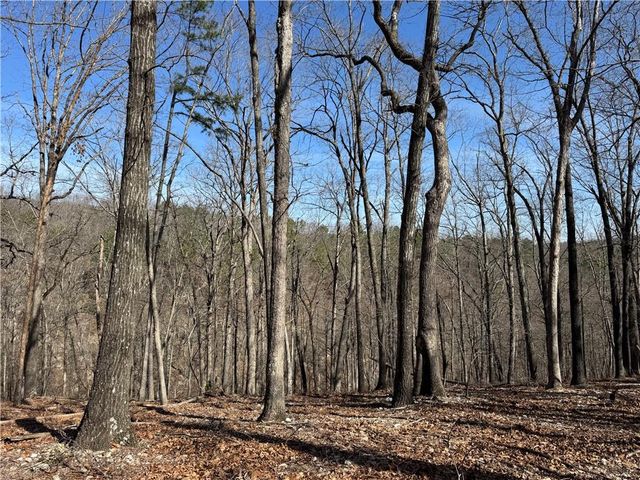 172 Saint Simons Lane, Eureka Springs, AR 72632