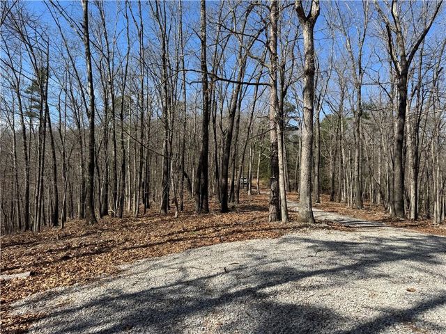 172 Saint Simons Lane, Eureka Springs, AR 72632
