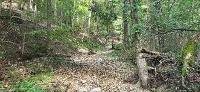 172 Saint Simons Lane, Eureka Springs, AR 72632
