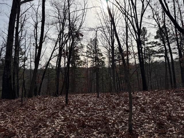 172 Saint Simons Lane, Eureka Springs, AR 72632