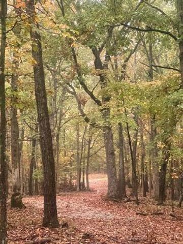 172 Saint Simons Lane, Eureka Springs, AR 72632