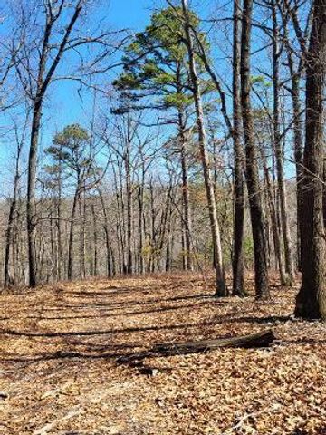 172 Saint Simons Lane, Eureka Springs, AR 72632