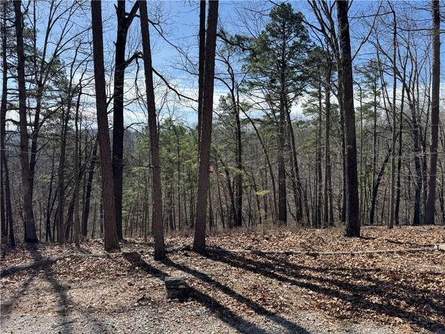 172 Saint Simons Lane, Eureka Springs, AR 72632