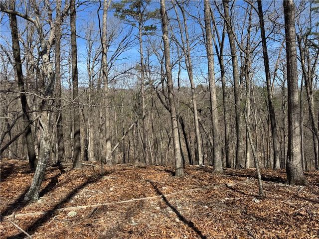 172 Saint Simons Lane, Eureka Springs, AR 72632