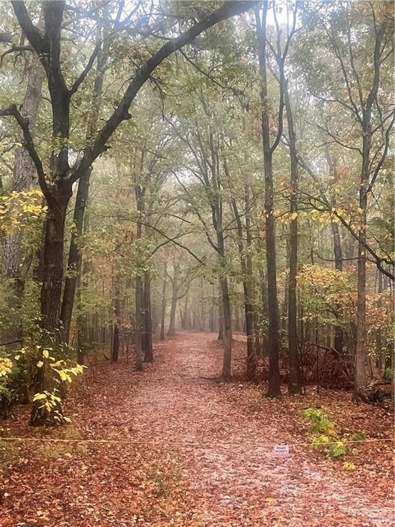 172 Saint Simons Lane, Eureka Springs, AR 72632