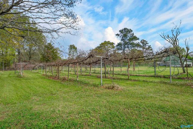 2587 Alfords Bend Road, Hokes Bluff, AL 35903