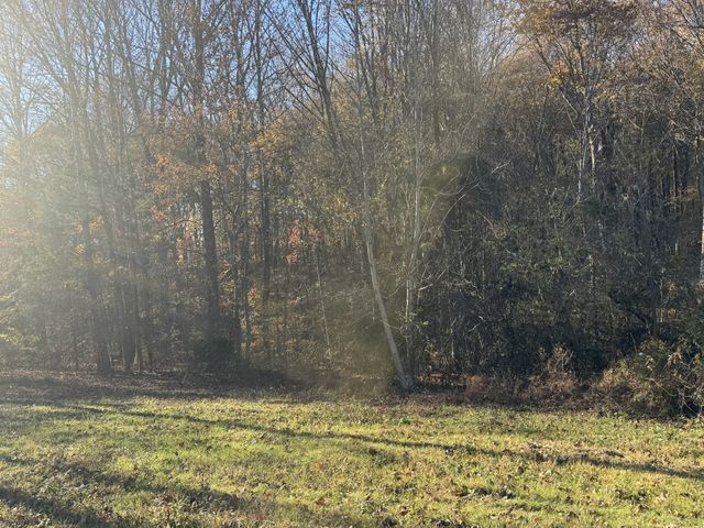 0 Pleasant Grove Rd, Westmoreland, TN 37186