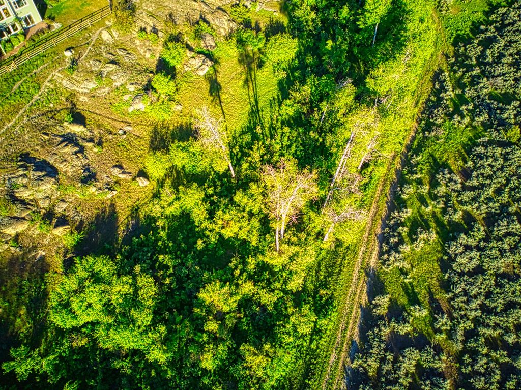 396 Wild Moose Springs Road, Corvallis, MT 59828 photo 14