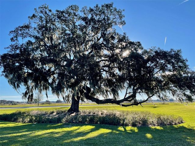 31398 MANGO FADE WAY, San Antonio, FL 33576