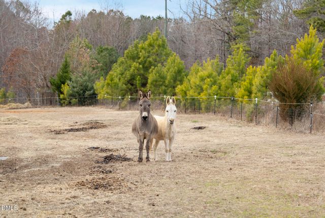 13913 Bold Run Hill Road, Raleigh, NC 27587