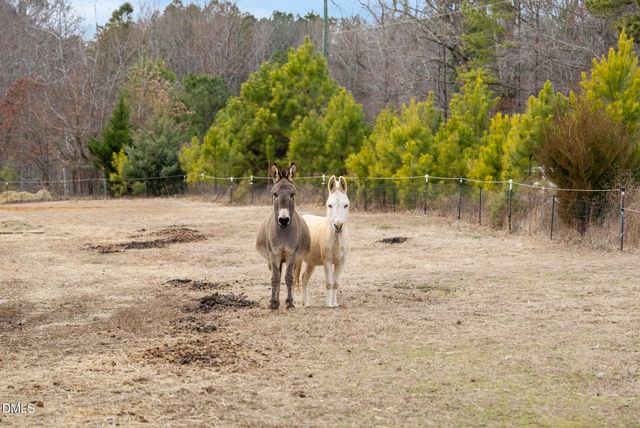 13913 Bold Run Hill Road, Raleigh, NC 27587