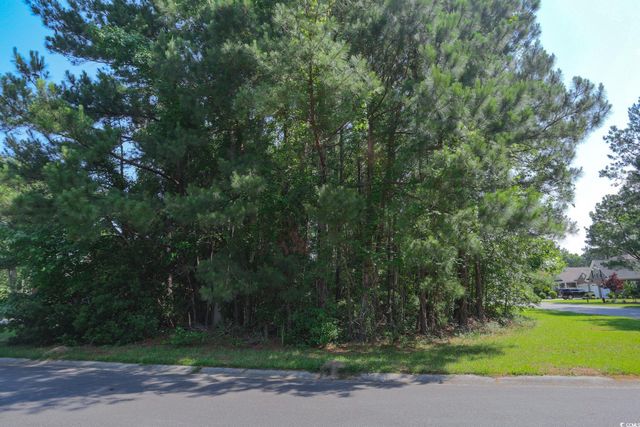 131 Waterhall Dr., Murrells Inlet, SC 29576