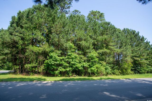 131 Waterhall Dr., Murrells Inlet, SC 29576