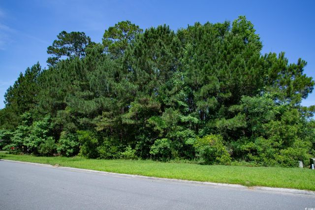 131 Waterhall Dr., Murrells Inlet, SC 29576