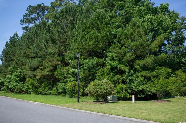 131 Waterhall Dr., Murrells Inlet, SC 29576