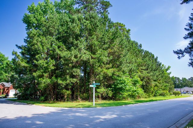 131 Waterhall Dr., Murrells Inlet, SC 29576