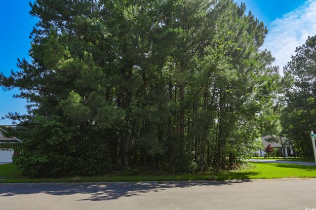 131 Waterhall Dr., Murrells Inlet, SC 29576