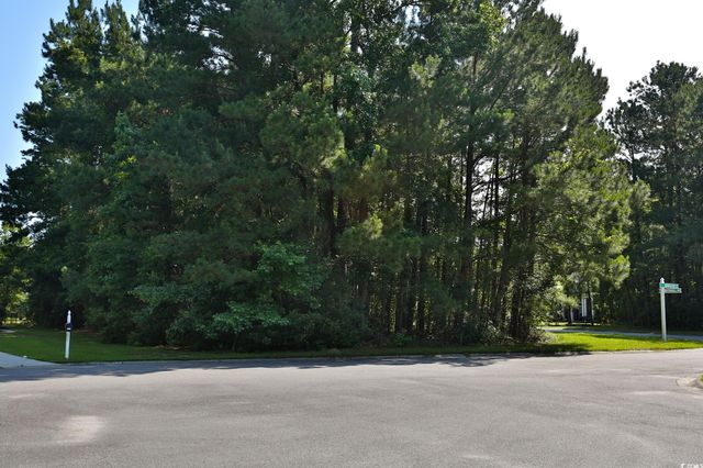 131 Waterhall Dr., Murrells Inlet, SC 29576