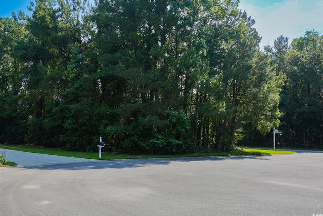 131 Waterhall Dr., Murrells Inlet, SC 29576