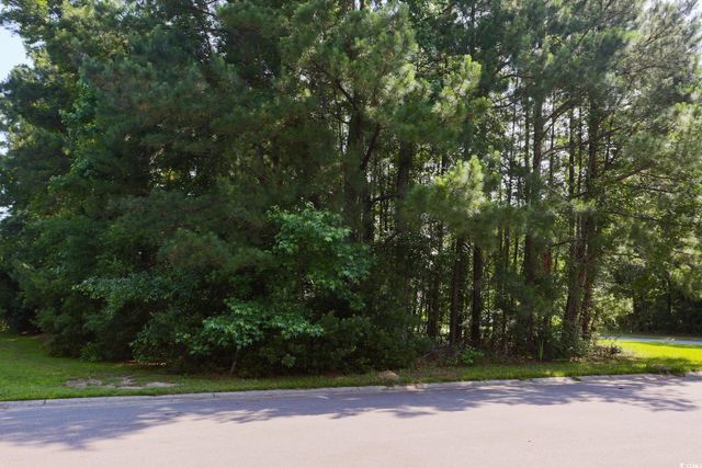 131 Waterhall Dr., Murrells Inlet, SC 29576