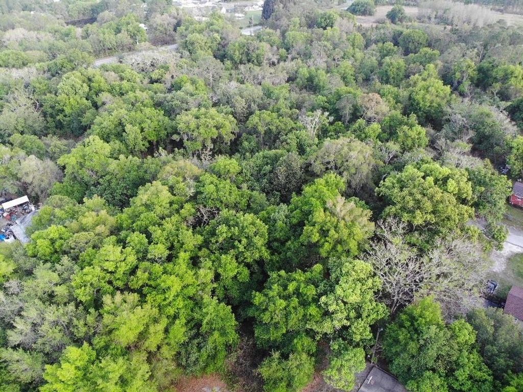 2156 OLD HICKORY TREE ROAD, St Cloud, FL 34772