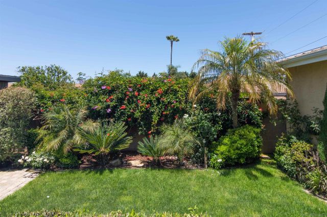 1566 Santa Barbara, San Diego, CA 92107