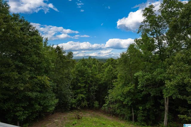 2000 SHADOW OAKS CIRCLE, Wilsonville, AL 35186