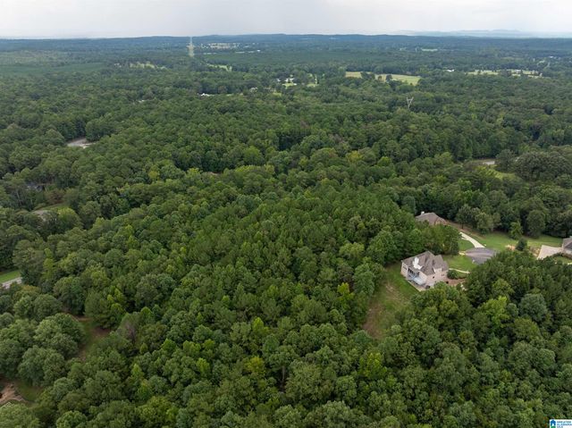 2000 SHADOW OAKS CIRCLE, Wilsonville, AL 35186