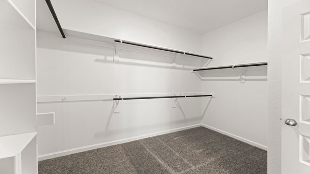 778 Hidden Feather Drive, Lavon, TX 75166