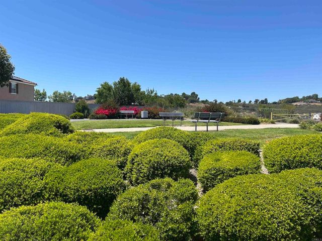 1347 Avenida Pantera, San Marcos, CA 92069