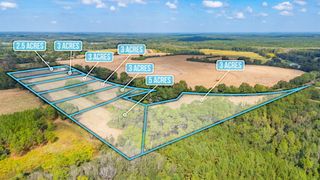 3 Acre -C Prescott Rd, Florala, AL 36442