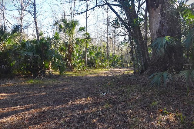 4721 LINGO GROVE ROAD, Edgewater, FL 32141